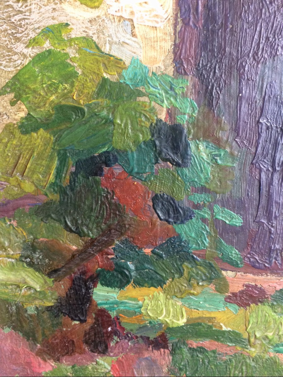 Eugène Van Mierlo (1880-1972). "the Garden". 1922.-photo-1