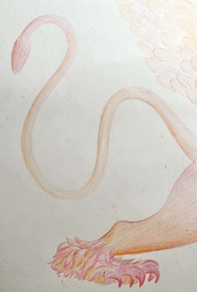 Jean-Marie Fievez (1949-2007). "Cherubin". Crayon. Années 70.-photo-4
