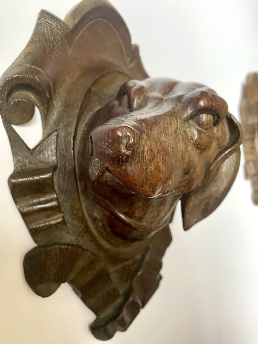 Sculptures trophées  Forêt noire (Têtes de chiens et sanglier). Fin XIXe début XXe.-photo-3