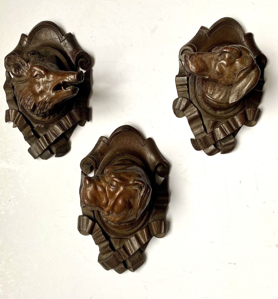 Sculptures trophées  Forêt noire (Têtes de chiens et sanglier). Fin XIXe début XXe.-photo-4