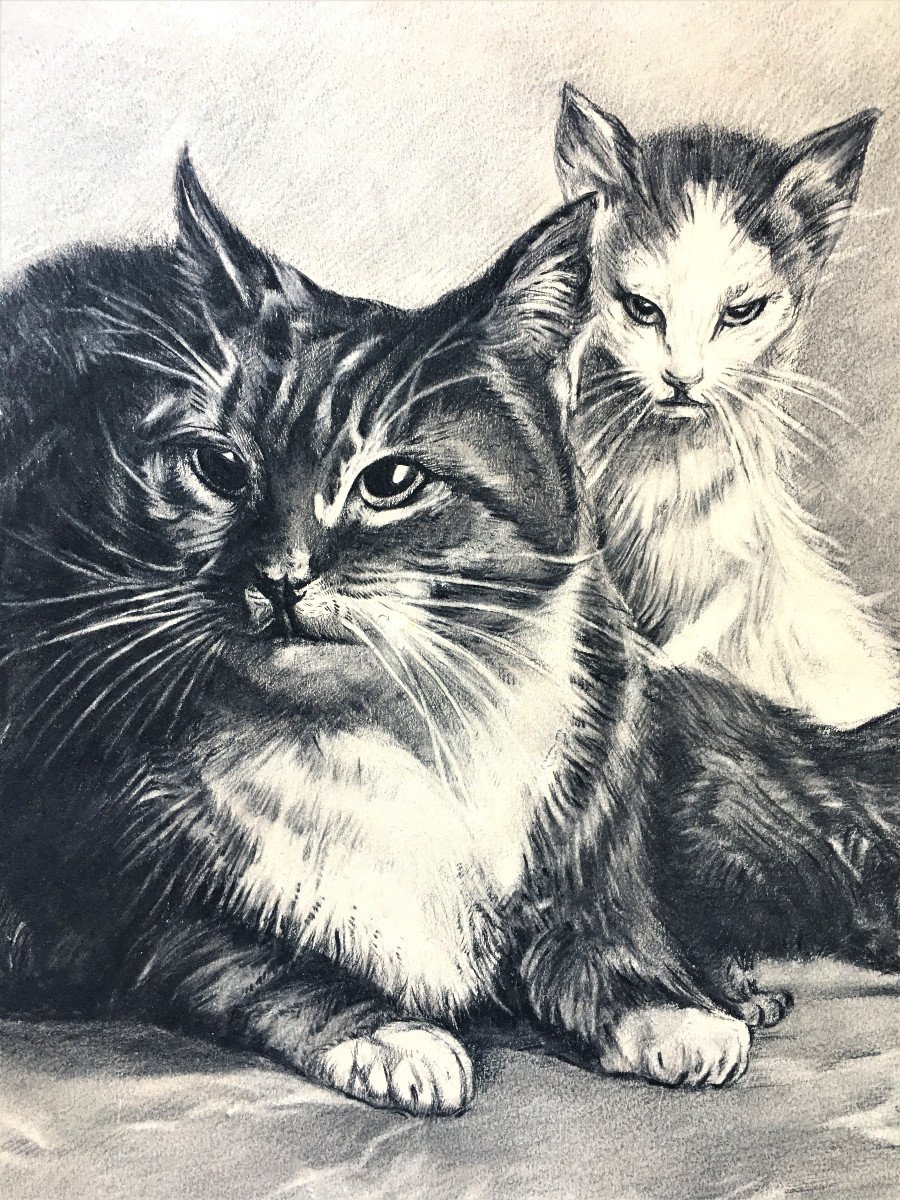 Alfred Dubois (xix-xx). "cats". 1900. Drawing.-photo-2