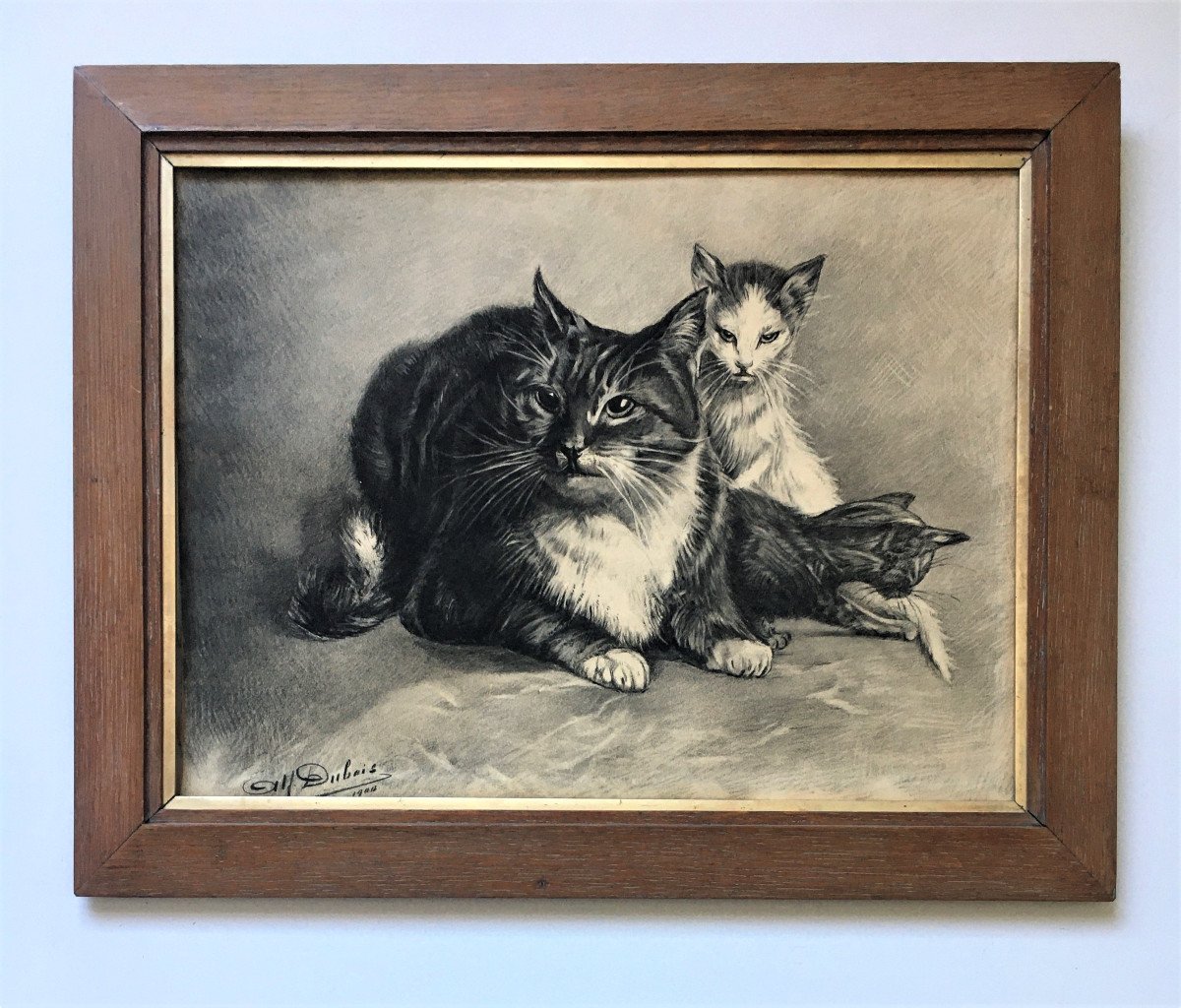 Alfred Dubois (xix-xx). "cats". 1900. Drawing.