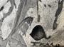 1618707-68ce6777eafb1.jpg