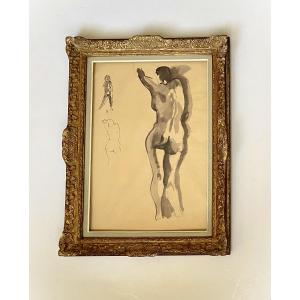 Pierre de Vaucleroy (Bruxelles , 1892- 1980). " Etudes de nu". Lavis. Années 20-30.