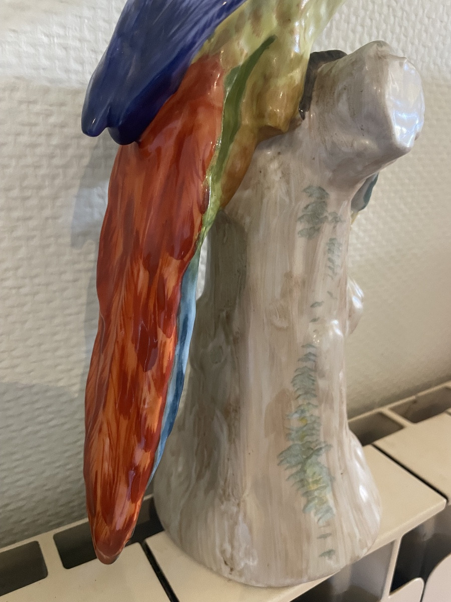 Perroquet en porcelaine de Meissen vers 1900-photo-4