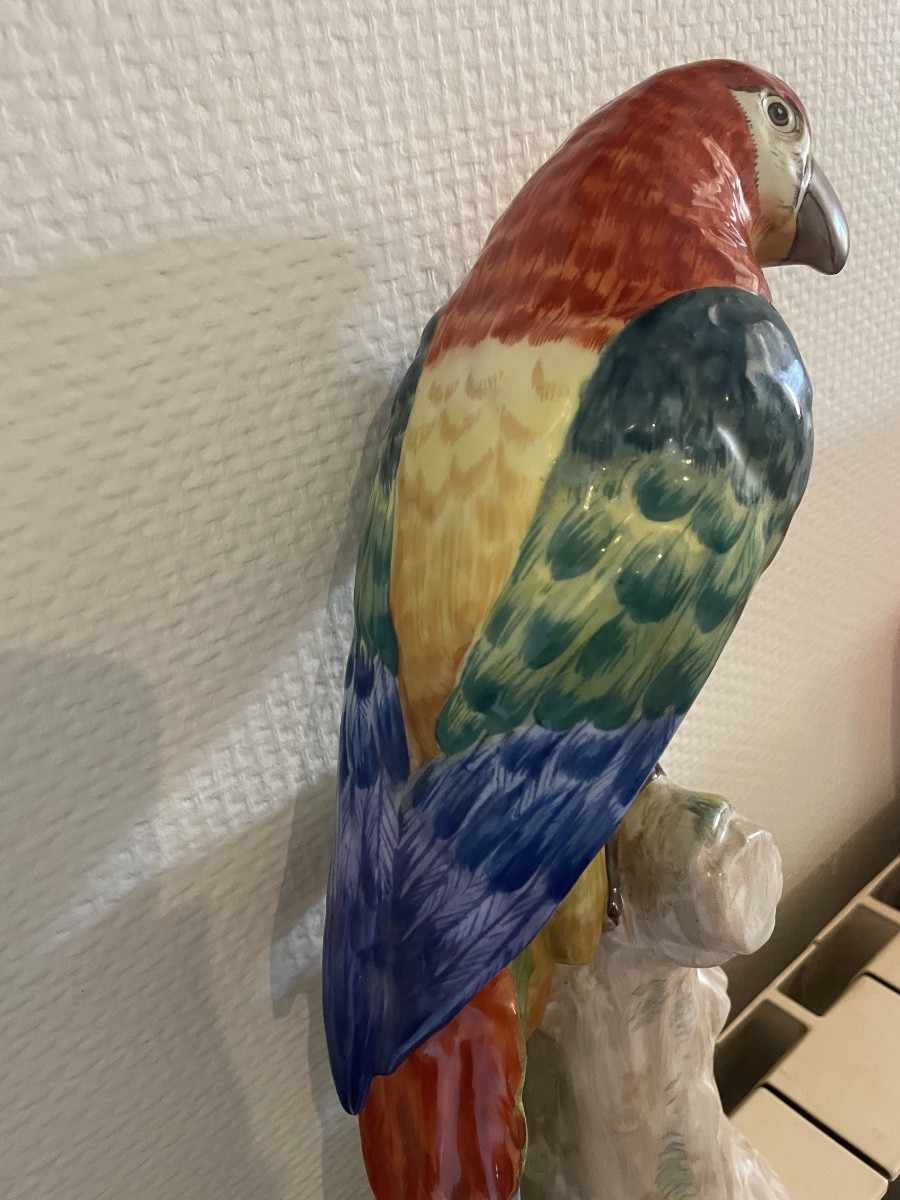Perroquet en porcelaine de Meissen vers 1900-photo-1