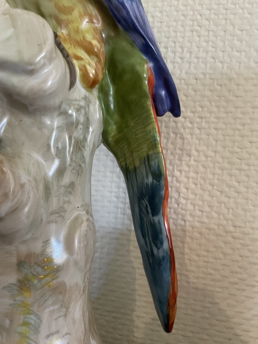 Perroquet en porcelaine de Meissen vers 1900-photo-5