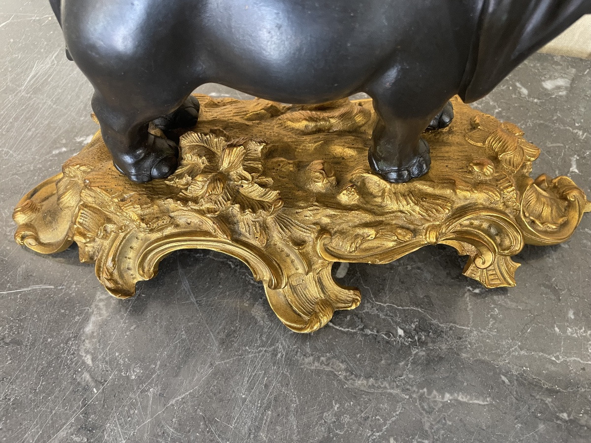Éléphant en bronze d’époque 18 siècles -photo-3