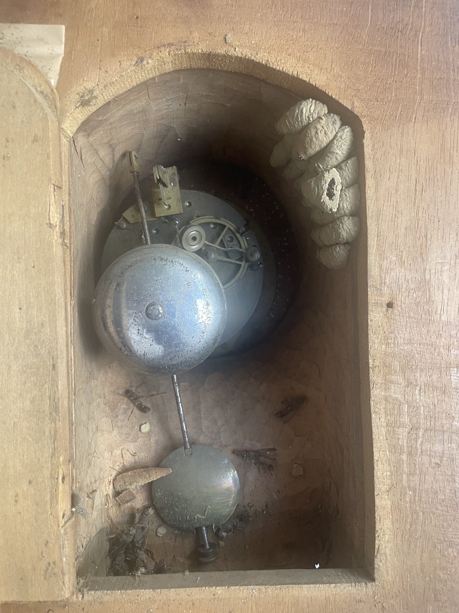 19th-century Black Forest Wall Clock -photo-6