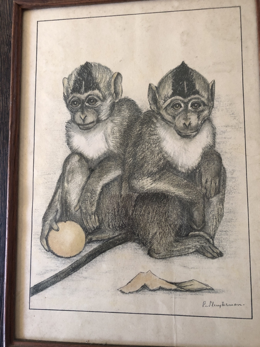Couple de singes dessin au crayon signé  sluyterman