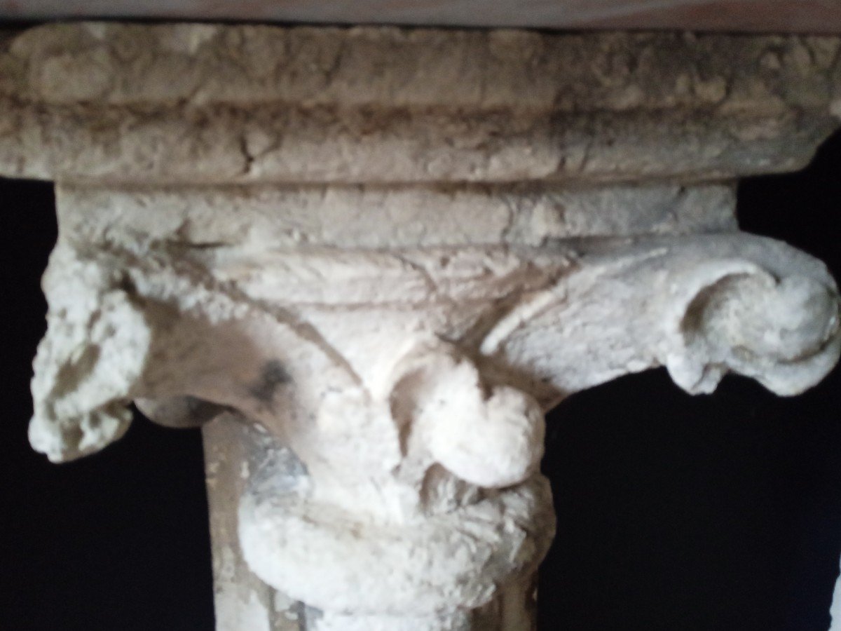 Pair Of Gambette In Stone-photo-4