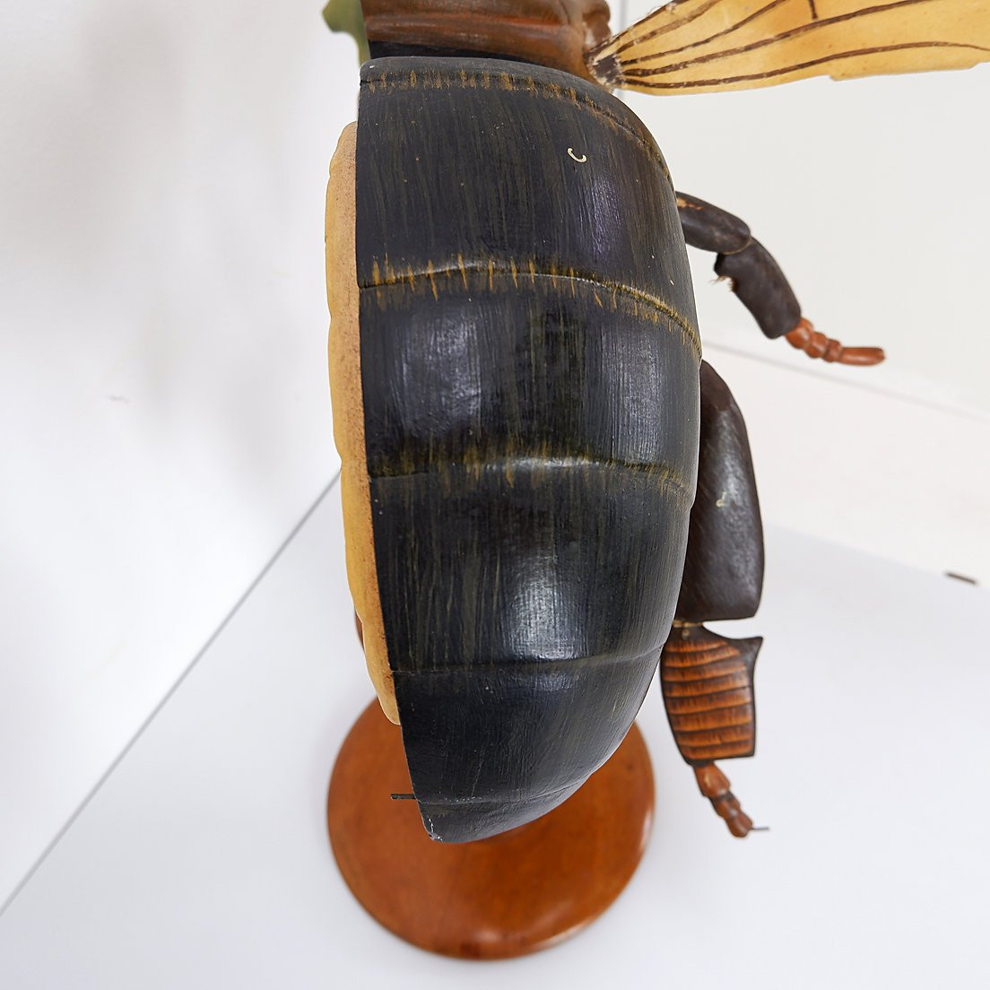 Large Didactical Model Of A Bee - Circa 1950-photo-7