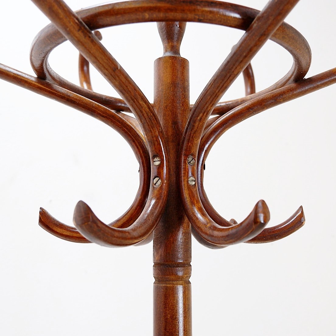 Vintage Bentwood Parrot Coat Rack -photo-4
