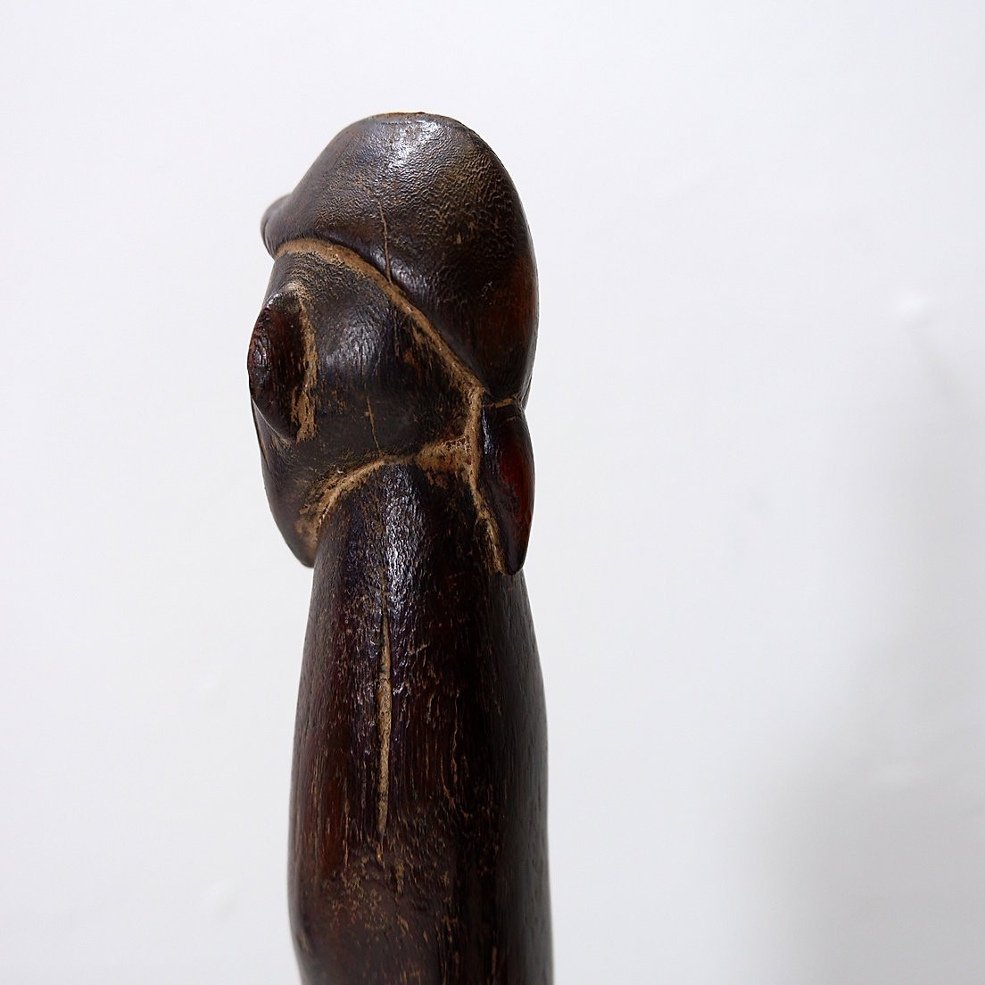 Senufo - African Call Horn - Mid-20th Century - Ivory Coast-photo-1
