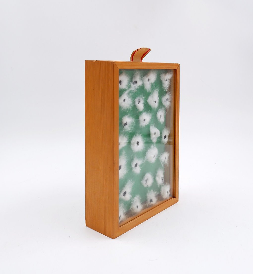 Installation  «Promenade dans le Canton de Vaud» François Bouillon  n°12/35 - 1975-photo-3