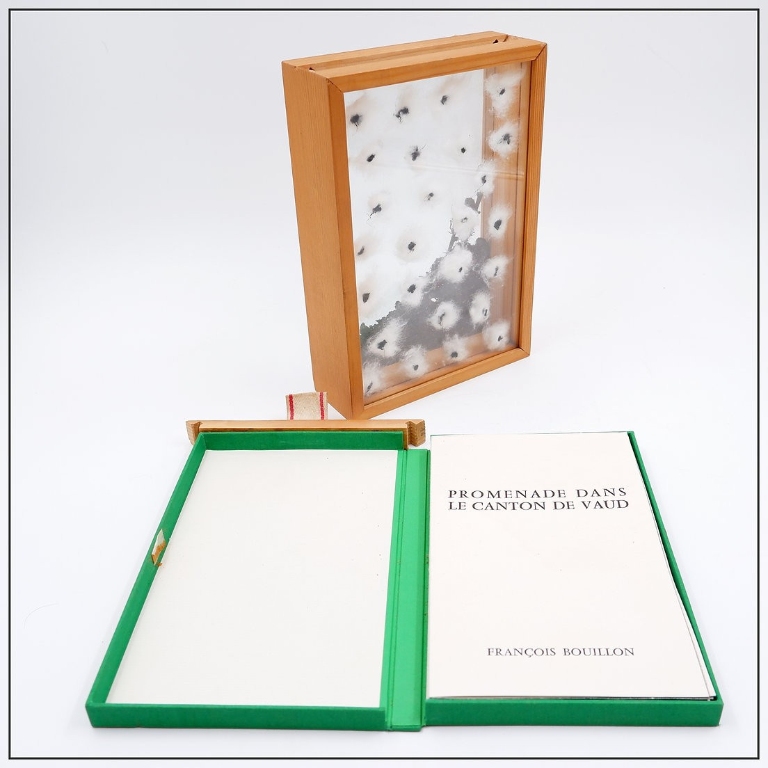 Installation  «Promenade dans le Canton de Vaud» François Bouillon  n°12/35 - 1975