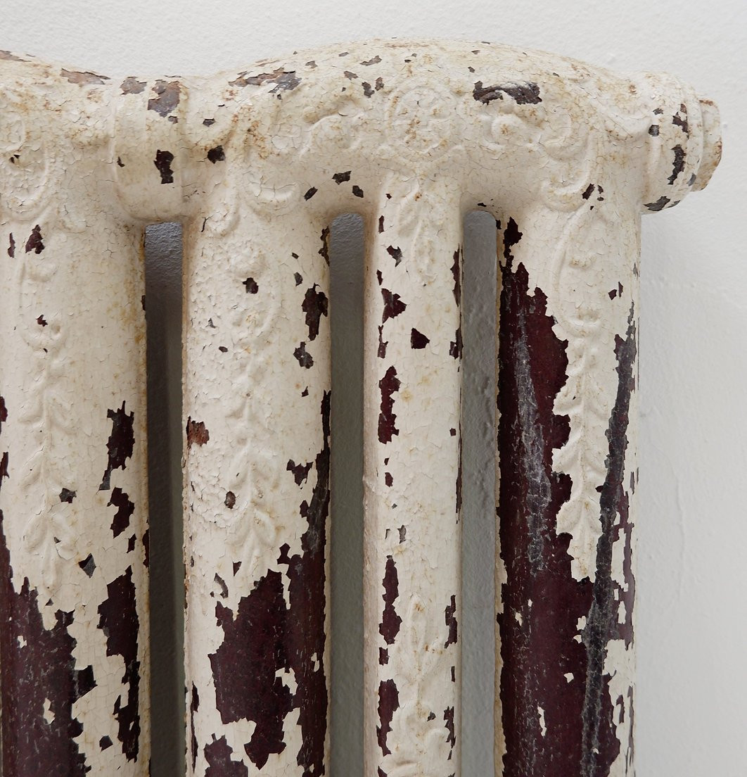 Radiateur victorien en fonte orné de feuillages et de fleurs - XIXe siècle-photo-3