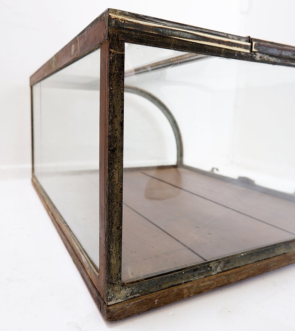 Antique Display Case With Curved Glass - Early 20th Century-photo-5