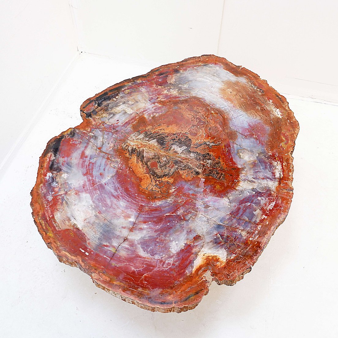 Table basse en bois pétrifié rouge d'Arizona : 114 x 88 cm-photo-2