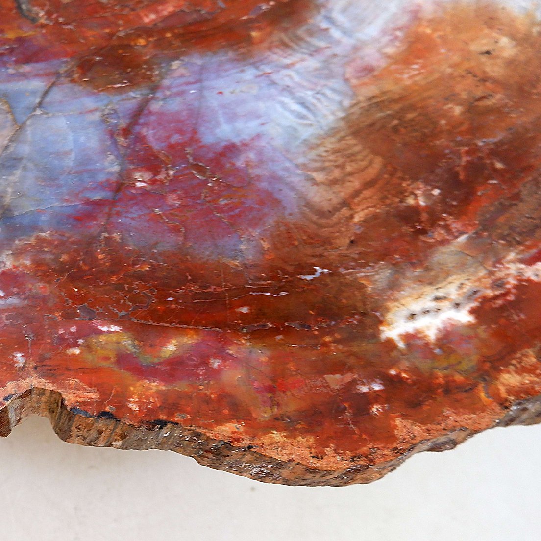 Table basse en bois pétrifié rouge d'Arizona : 114 x 88 cm-photo-2