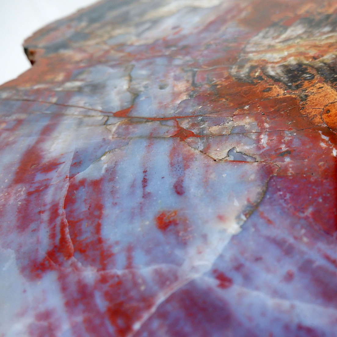 Table basse en bois pétrifié rouge d'Arizona : 114 x 88 cm-photo-7