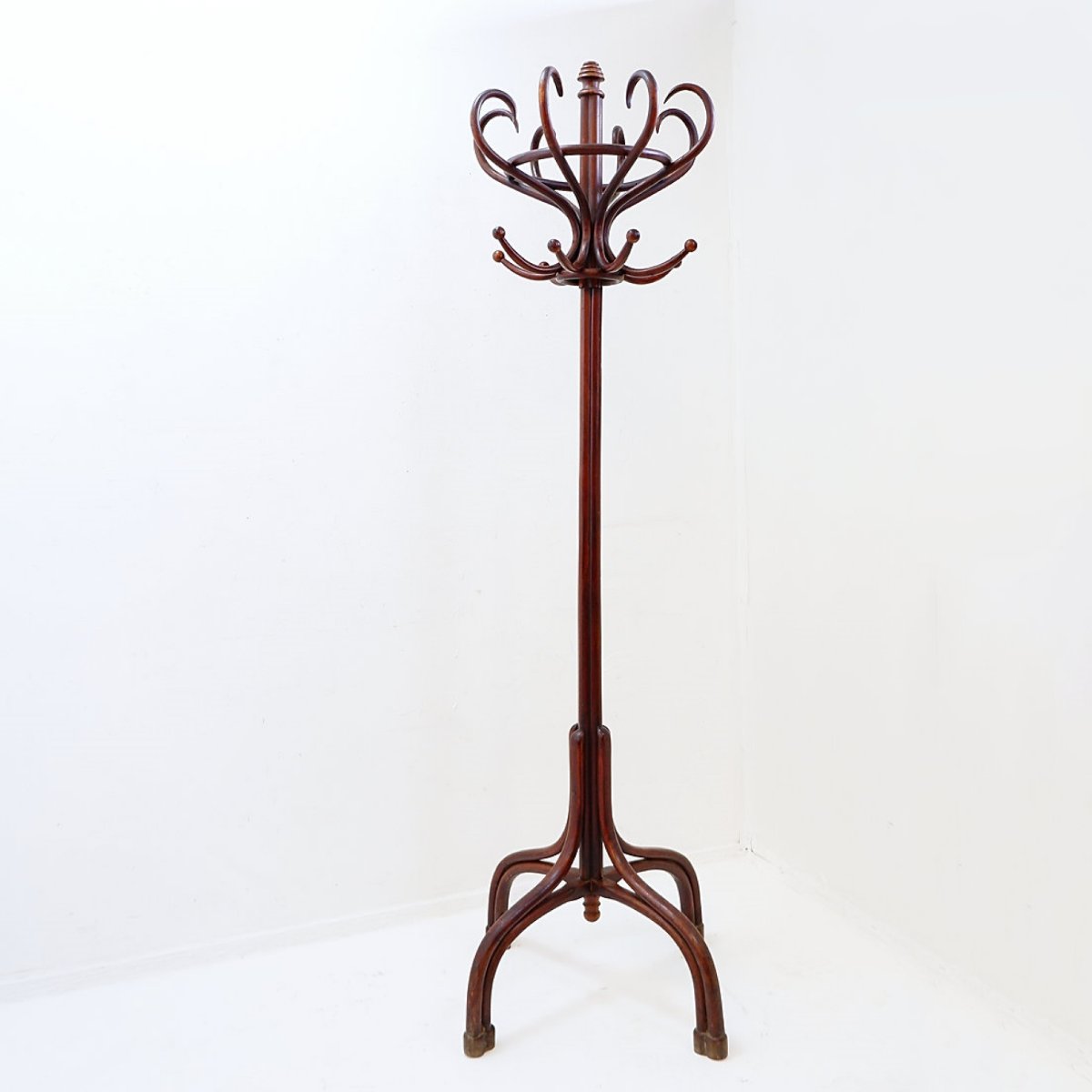 Large “perroquet” Coat Rack Made Of Bentwood, Thonet Style – Early 20th Century-photo-2