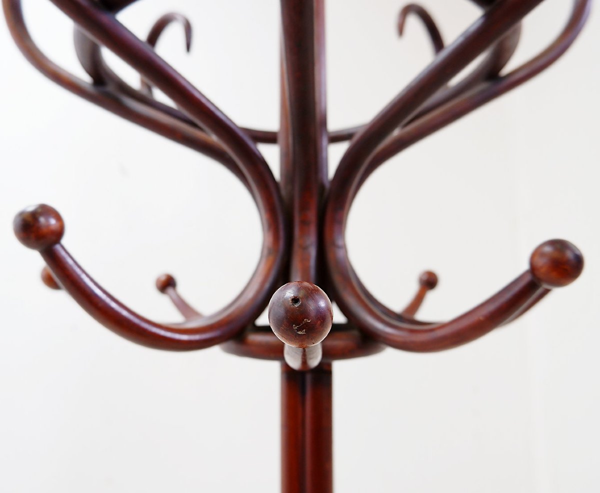 Large “perroquet” Coat Rack Made Of Bentwood, Thonet Style – Early 20th Century-photo-4