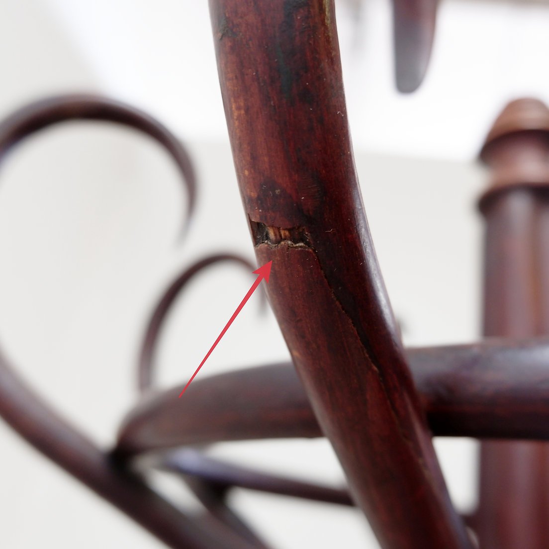 Large “perroquet” Coat Rack Made Of Bentwood, Thonet Style – Early 20th Century-photo-8