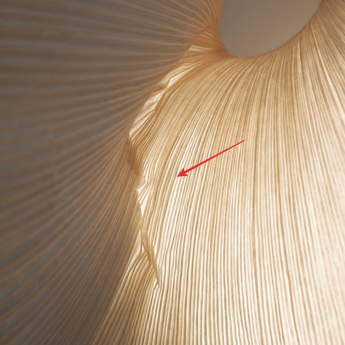 Lampe de table « Rose Yoruba » de Dagmar Mombach et Ingo Maurer pour Ingo Maurer-photo-4