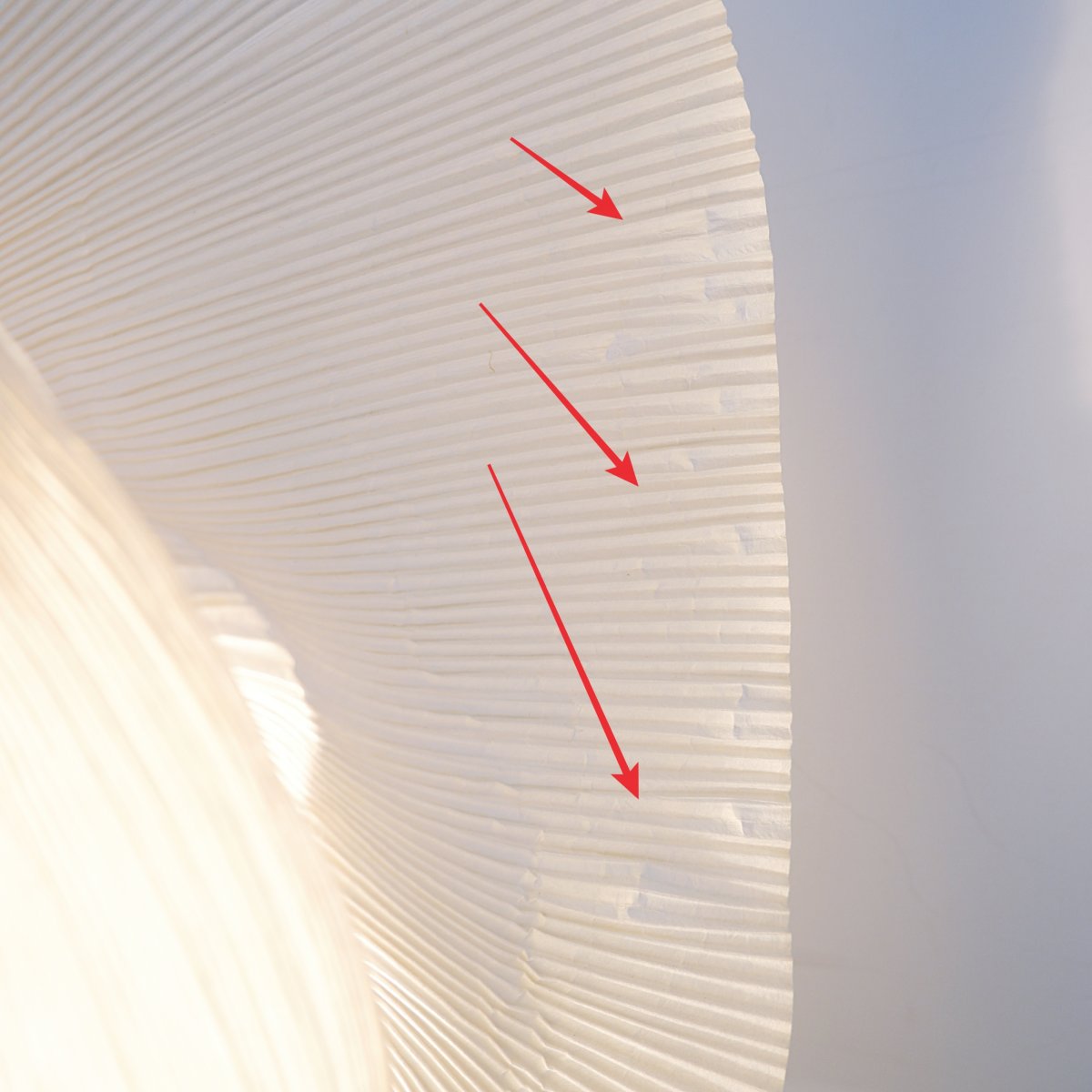 Lampe de table « Rose Yoruba » de Dagmar Mombach et Ingo Maurer pour Ingo Maurer-photo-5