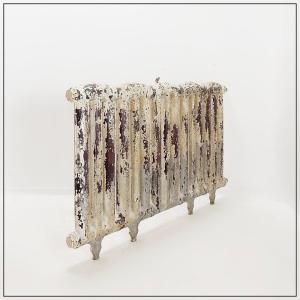 Radiateur victorien en fonte orné de feuillages et de fleurs - XIXe siècle