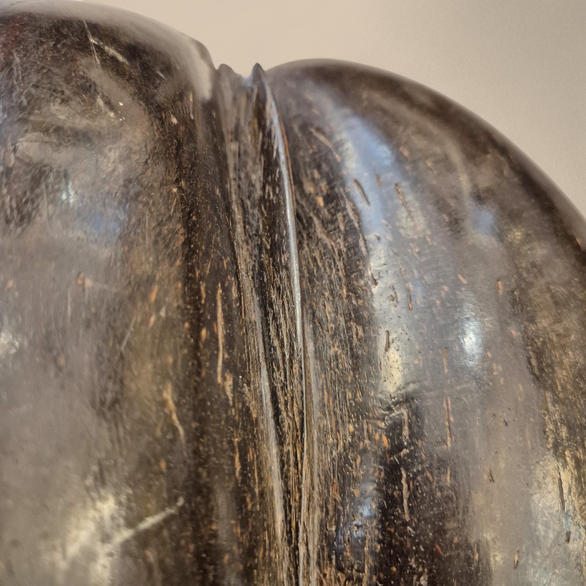  Grand Coco de Mer, Seychelles, 20ème siècle-photo-4