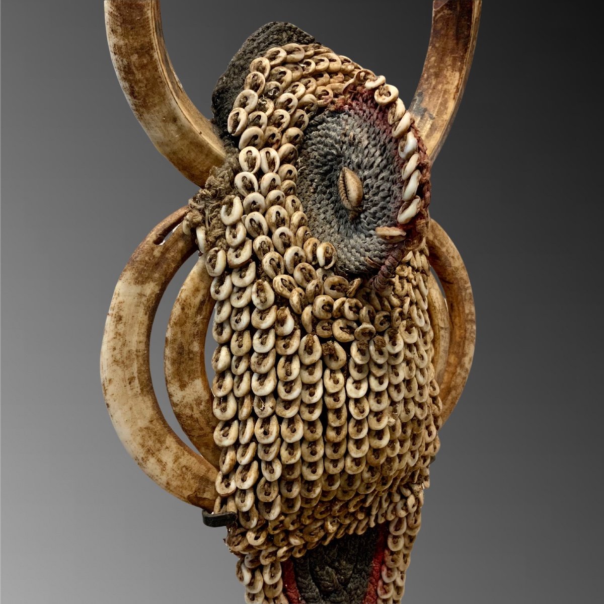 Papua, Karaut Mouth Adornment, Abelam People-photo-3