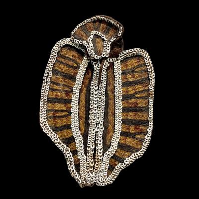 Papua, Armband From Gulf Huon,