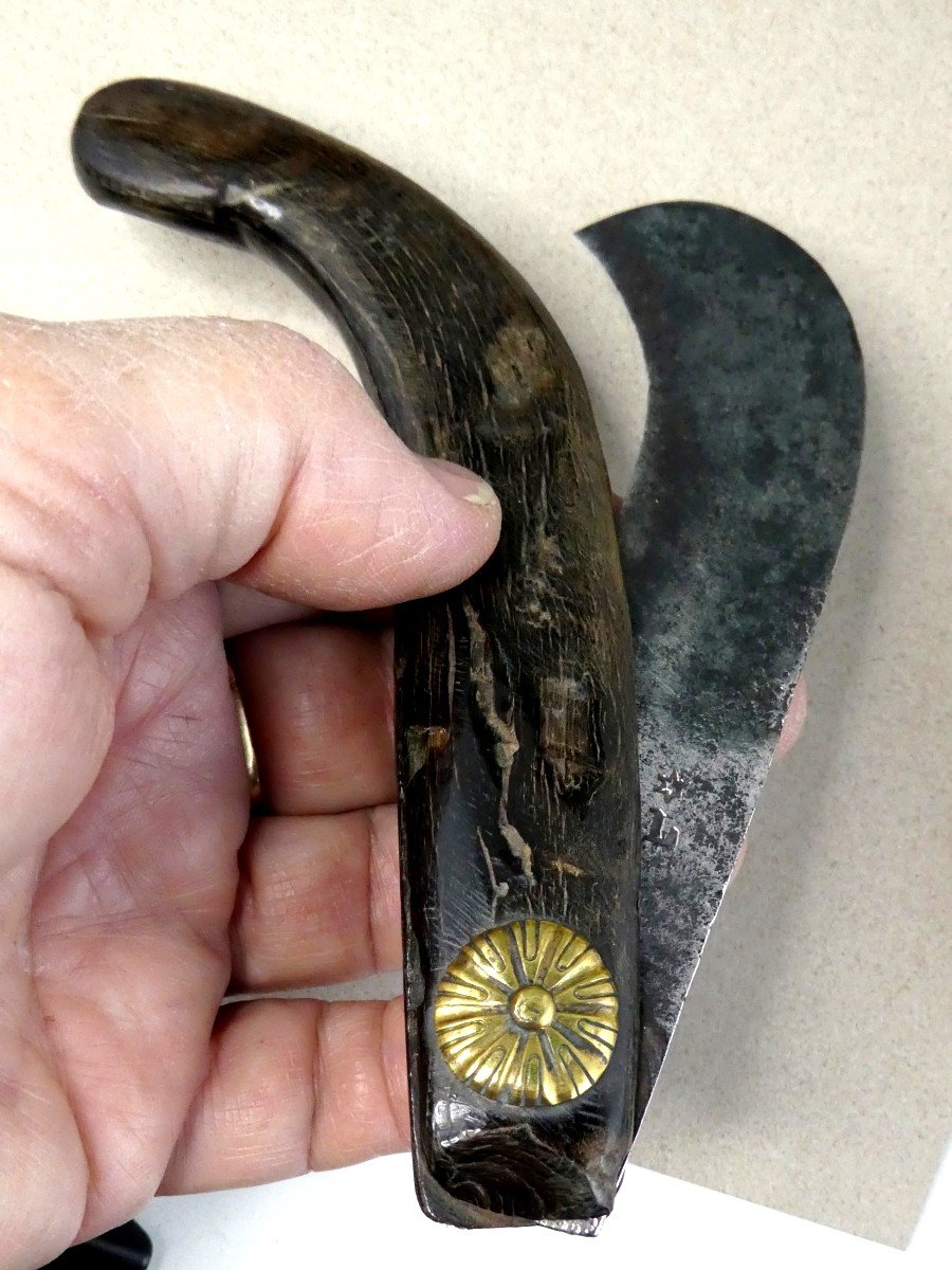 French Winegrower's Knife, Horn, Steel, Marked, Worn By Using, 19th Century-photo-2