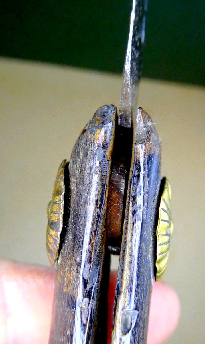 French Winegrower's Knife, Horn, Steel, Marked, Worn By Using, 19th Century-photo-2