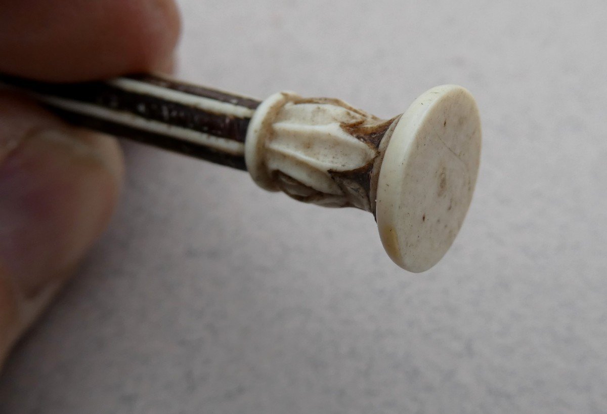 Luxurious Tiny Instrument, Carved Deer Antler, 19th Century-photo-2