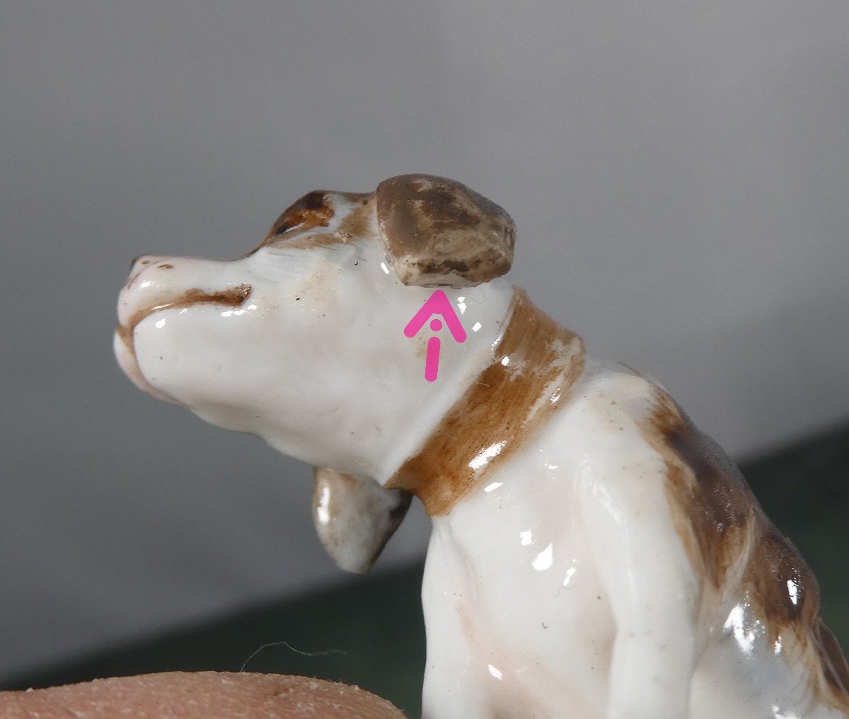 Meissen Minuscula : Sujet Animalier Miniature En Porcelaine: Chien De Chasse, 19e Siècle-photo-3
