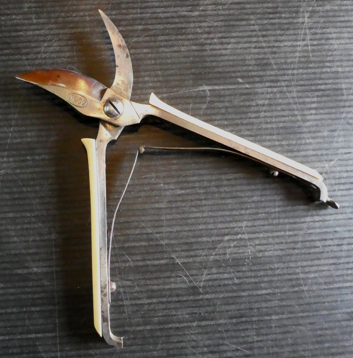 Vendangette De Table Vers 1900, Acier Poli, Précieuse Doublure-photo-2