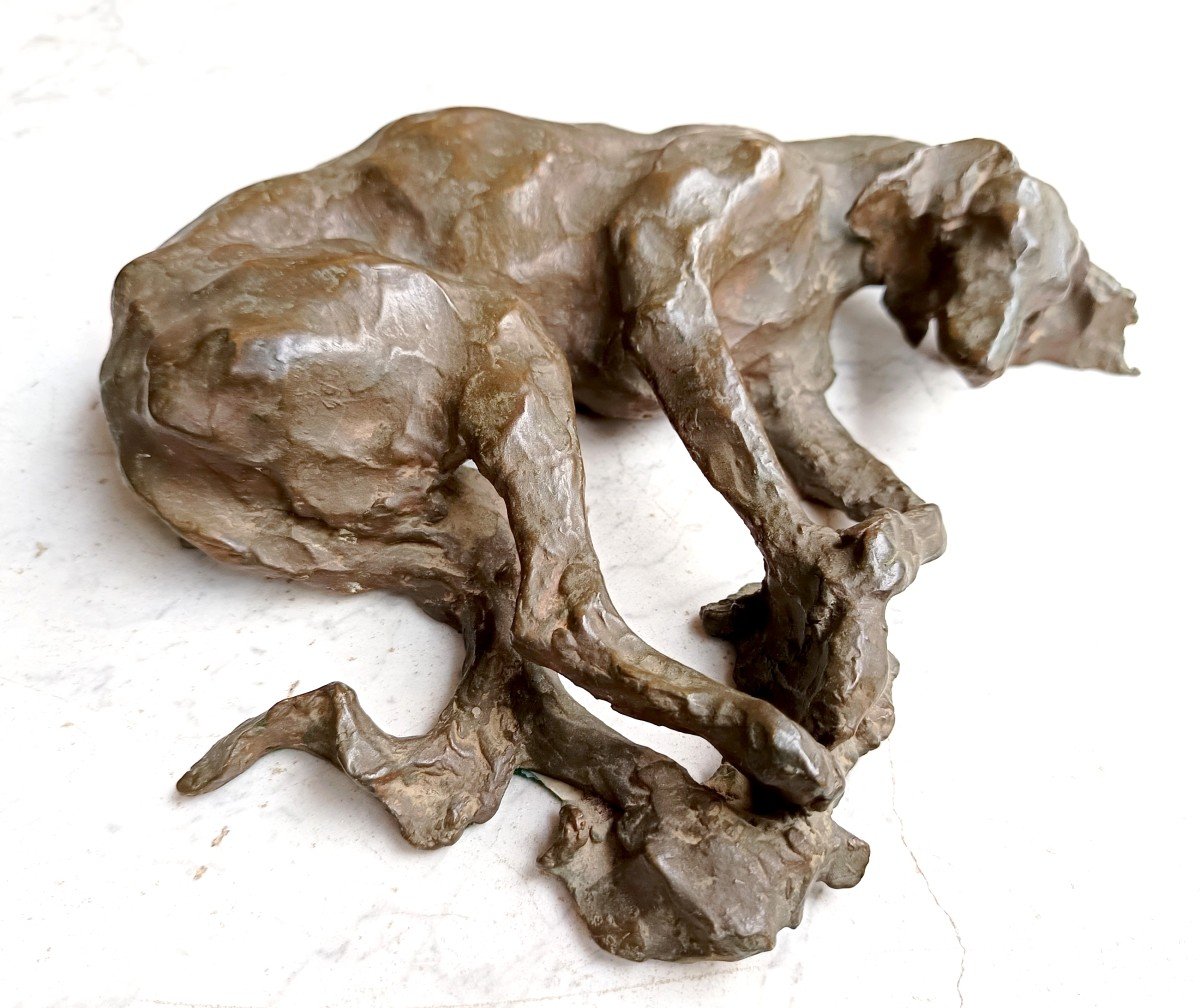 Two Large Bronze Greyhounds, Contemporary Sculpture, 2/10, Lissa Borkowski-photo-3