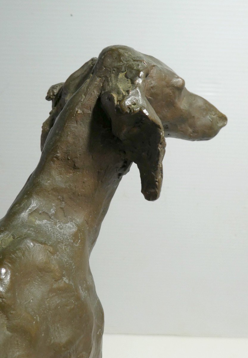 Two Large Bronze Greyhounds, Contemporary Sculpture, 2/10, Lissa Borkowski-photo-5
