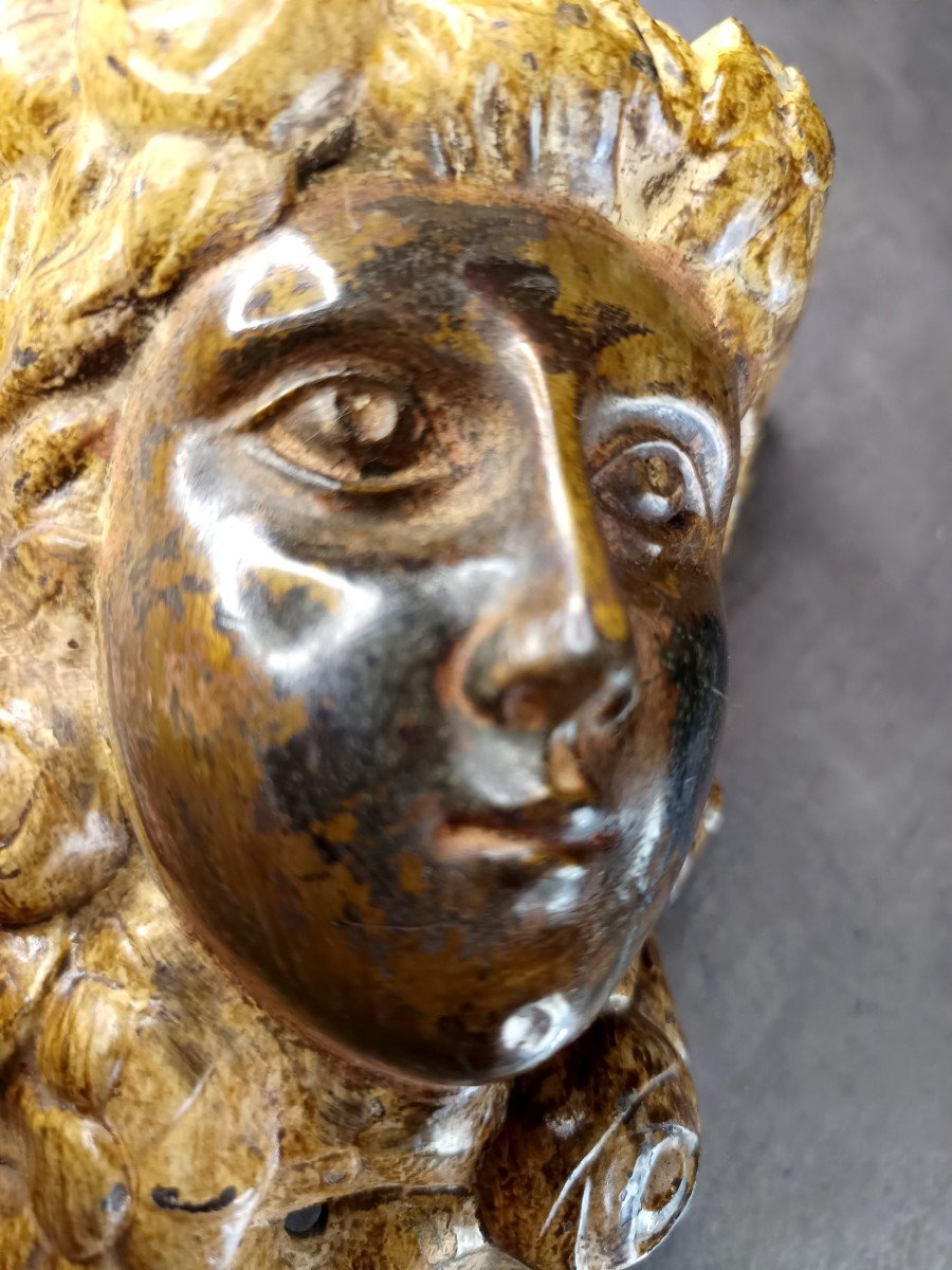 Pretty Painted Bronze: Allegory Of Nature, Furniture Bronze From  1900s-photo-3