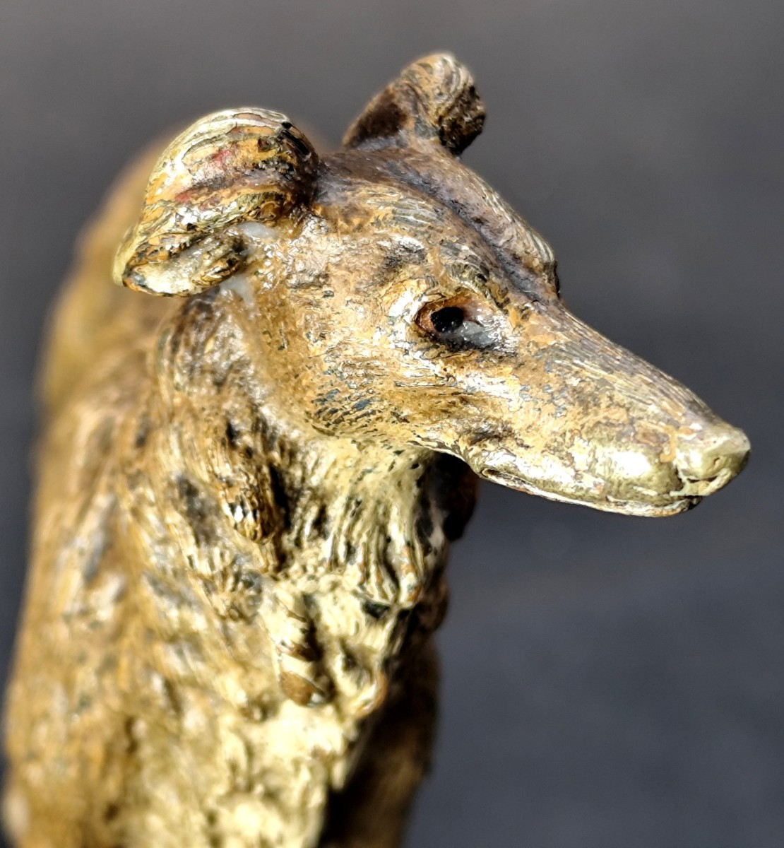 Joli lévrier Persan, bronze de Vienne du 19e siècle, bel état d’origine-photo-4