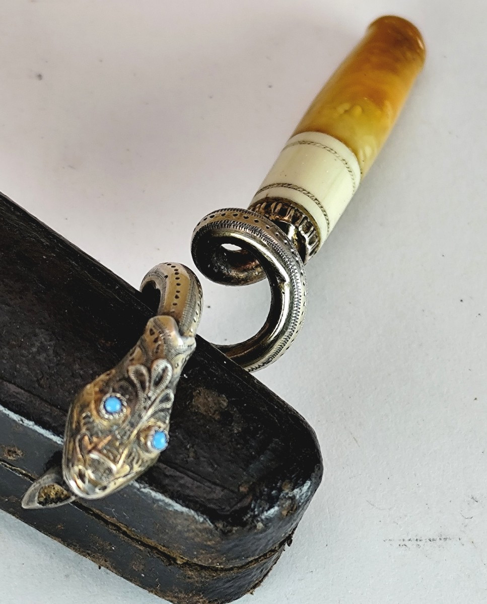 Curiosité : Fume cigare au serpent, yeux de turquoise, étui, 19e-photo-4