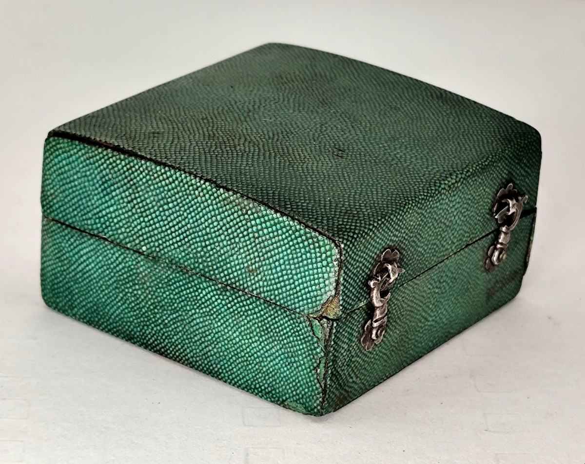 Beautiful Green And Silver Shagreen Case, And Diamond-studded Iron Shoe Buckles-photo-4