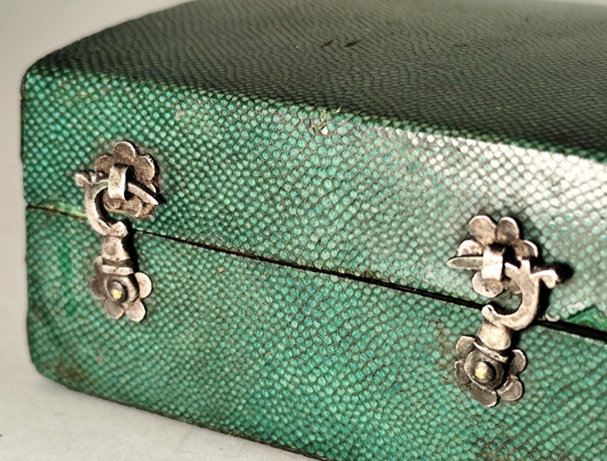 Beautiful Green And Silver Shagreen Case, And Diamond-studded Iron Shoe Buckles-photo-6