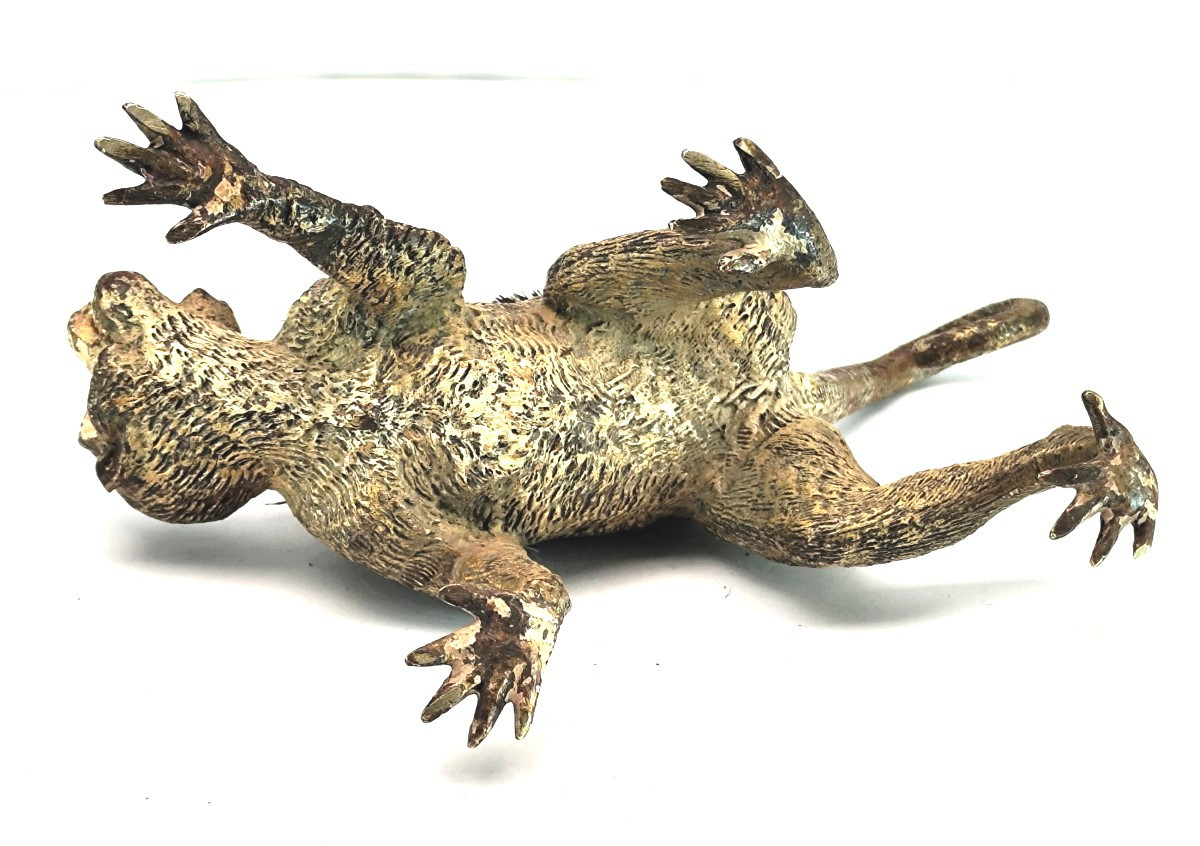 Painted Vienna Bronze Monkey , Marked, 19th Century, Pen Wiper-photo-4