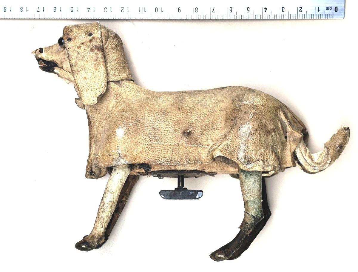 Médor, Automate bois et peau du 19e siècle, il saute ! introuvable-photo-3