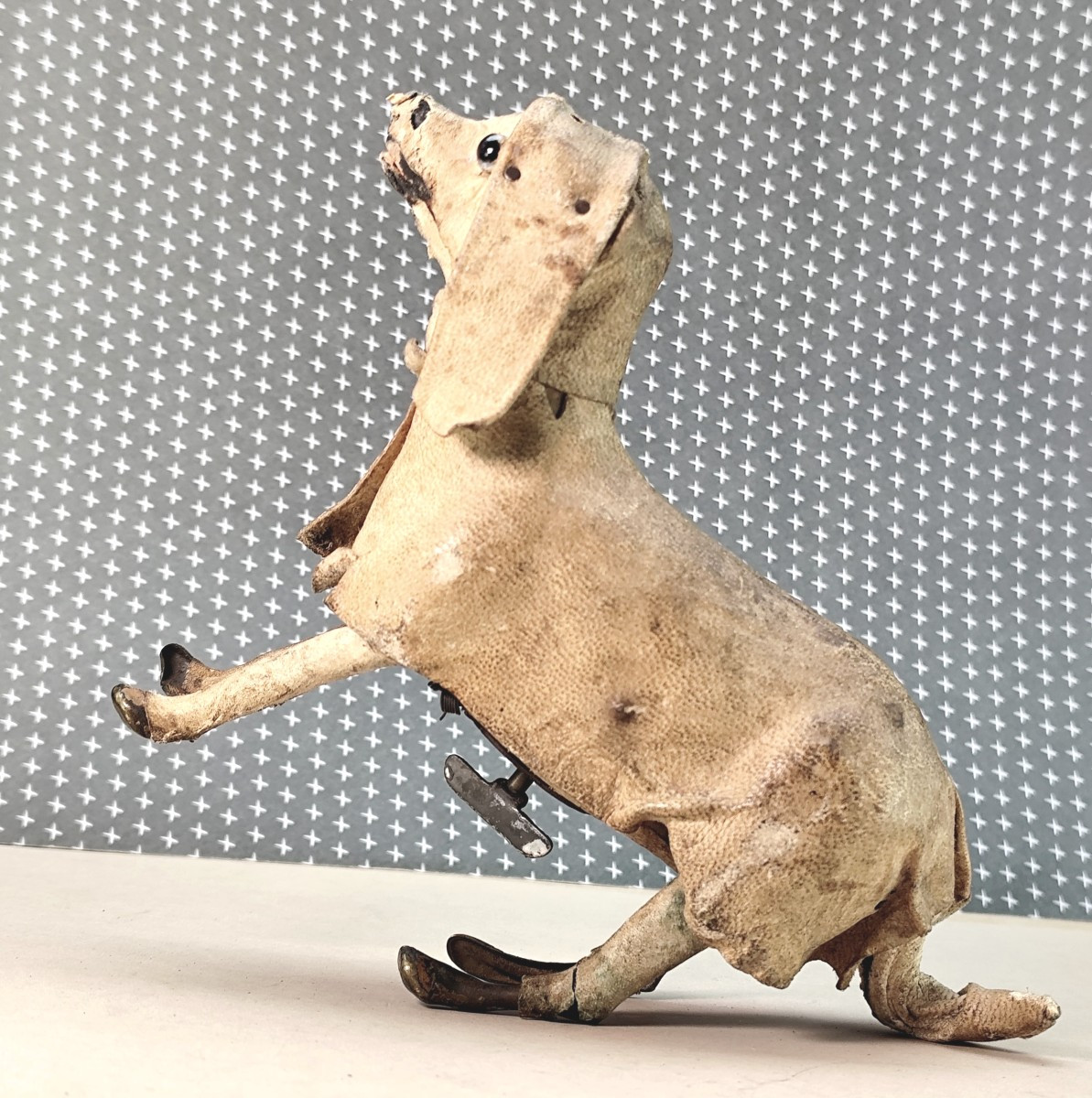 Médor, Automate bois et peau du 19e siècle, il saute ! introuvable-photo-1