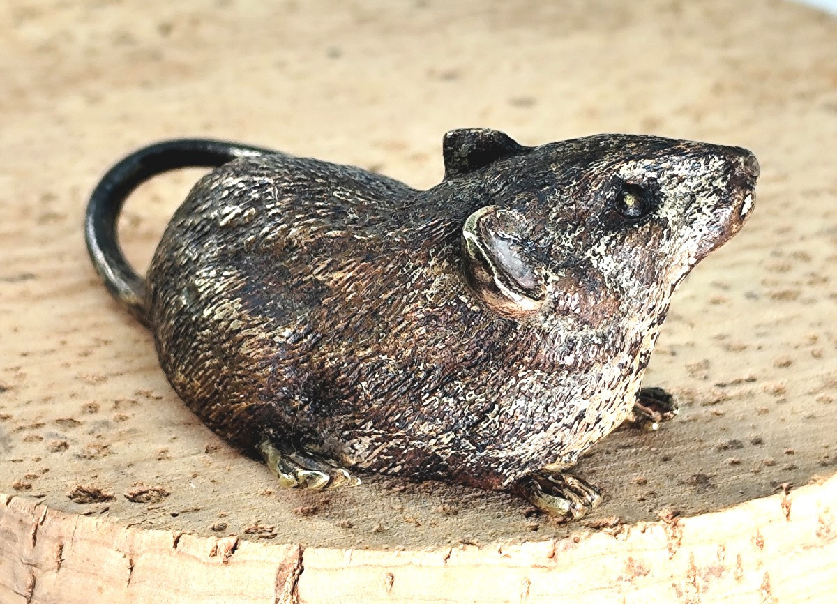 Petite souris Bronze de Vienne, marqué (Geschutzt), 19e siècle-photo-4